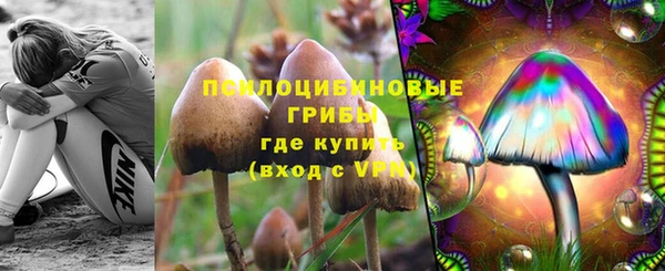 a pvp Россошь