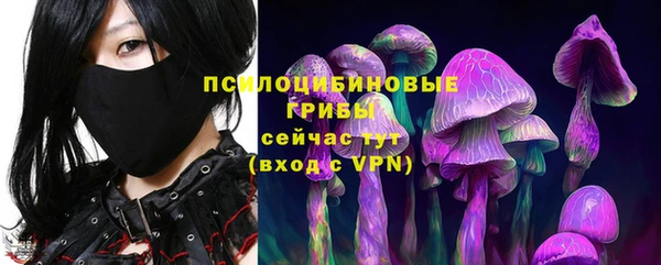 прущая мука Рославль