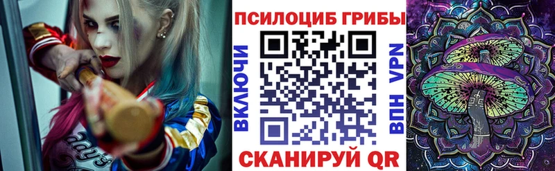 Псилоцибиновые грибы GOLDEN TEACHER  Светлогорск 